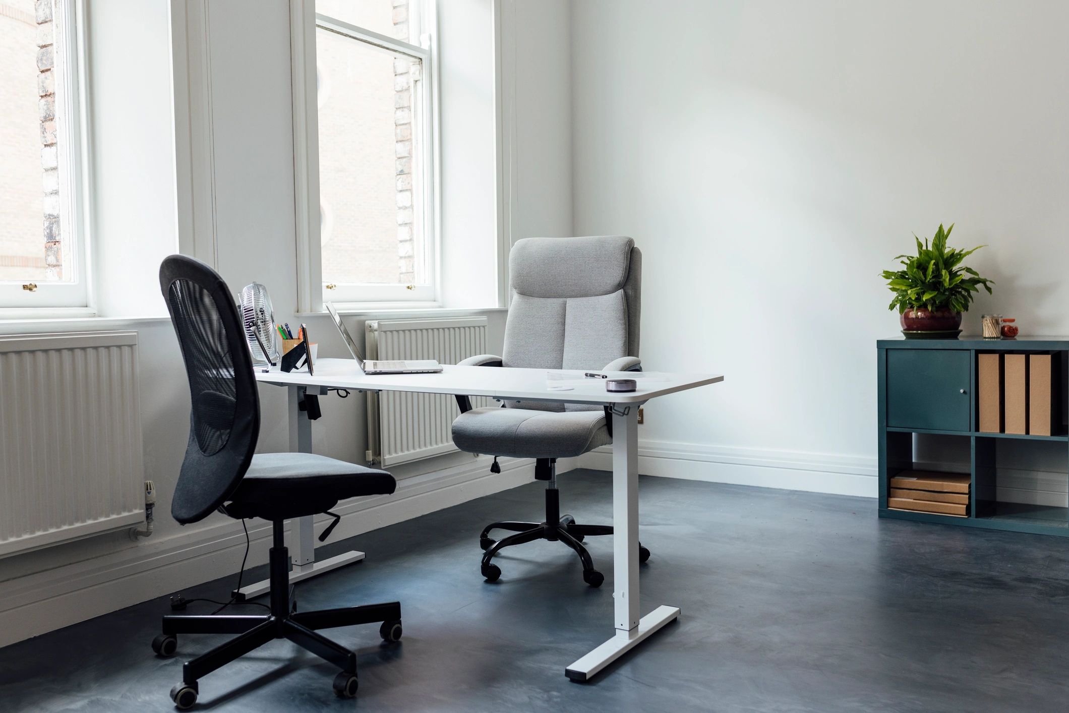 Professional office workspace for software consultation